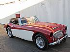 1967 Austin Healey BJ8