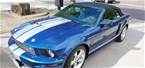2008 Ford Shelby