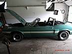 1969 Shelby GT500