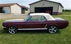 1965 Ford Mustang 