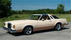 1979 Ford Thunderbird 