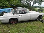 1955 Ford Thunderbird