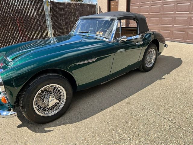 1965  Austin Healey 3000