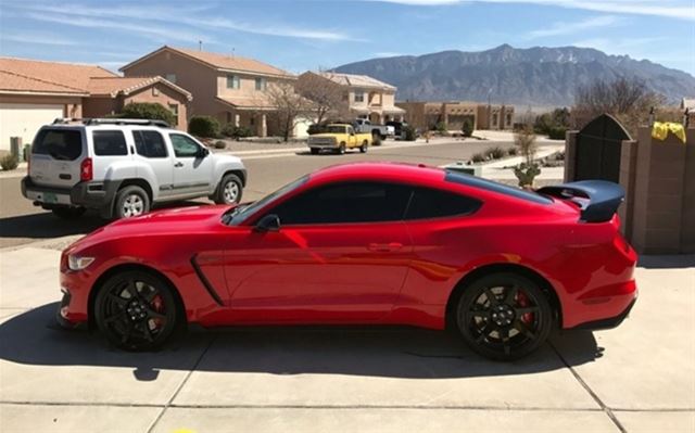 2016 Ford Shelby