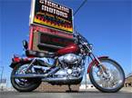 2004 Other Harley Davidson XL1200C