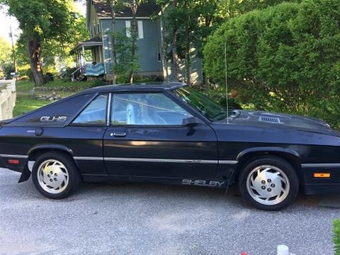 1987 Dodge Shelby for sale