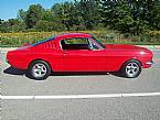 1966 Ford Mustang