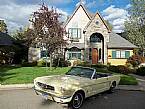 1965 Ford Mustang 