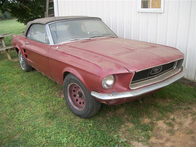 1967 Ford Mustang