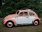 1963 Volkswagen Beetle
