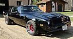 1981 Pontiac Firebird