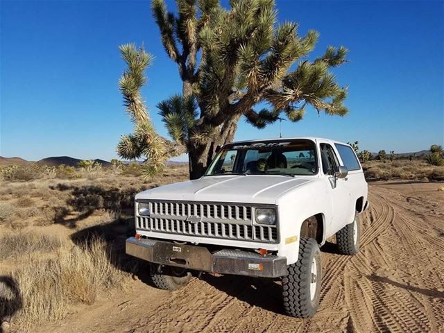 1982 Chevrolet K5