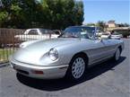 1991 Alfa Romeo Spider