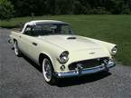 1956 Ford Thunderbird 