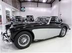 1957 Austin Healey 100-6 