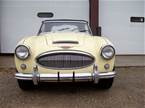 1964 Austin Healey 3000 