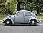 1965 Volkswagen Beetle