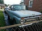 1965 Ford F250