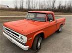 1971 Dodge D100