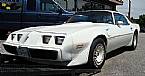 1981 Pontiac Firebird