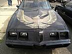 1981 Pontiac Trans Am