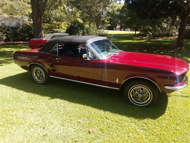 1967 Ford Mustang for sale