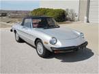 1981 Alfa Romeo Spider 