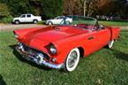 1955 Ford Thunderbird