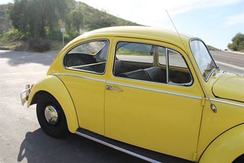 1966 Volkswagen Beetle for sale