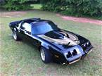 1981 Pontiac Trans Am 