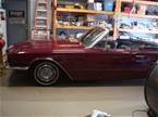 1966 Ford Thunderbird 