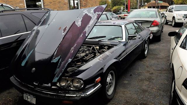 1986 Jaguar XJS