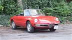 1966 Alfa Romeo Spider 