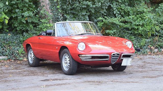 1966 Alfa Romeo Spider