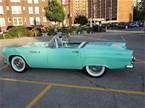 1955 Ford Thunderbird 