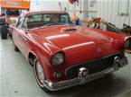1955 Ford Thunderbird