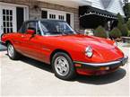 1986 Alfa Romeo Spider 