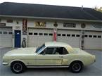 1966 Ford Mustang