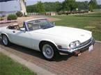 1988 Jaguar XJS 