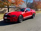 2011 Ford Shelby 