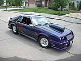 1981 Ford Mustang for sale