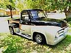 1955 Ford F100