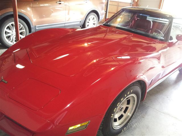 1981 Chevrolet Corvette