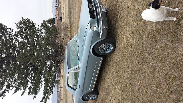 1966 Ford Mustang