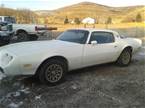 1979 Pontiac Firebird 