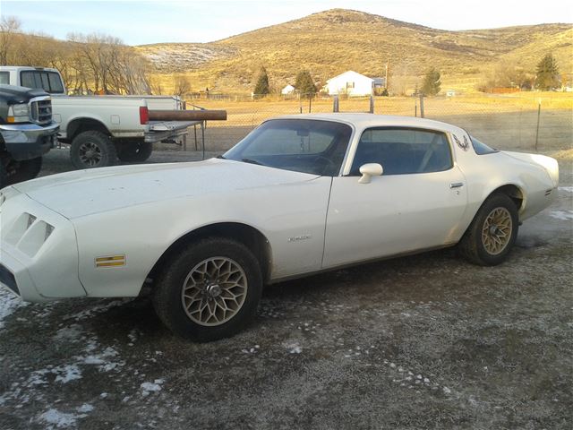 1979 Pontiac Firebird