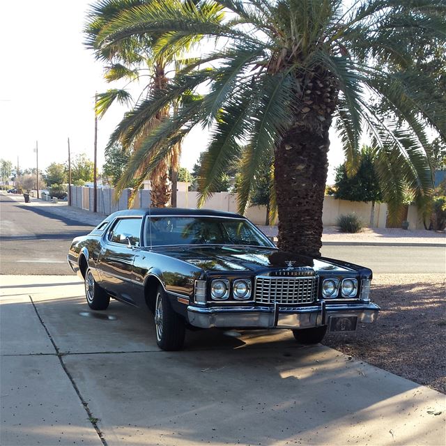 1973 Ford Thunderbird