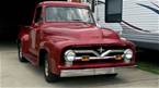 1955 Ford F100
