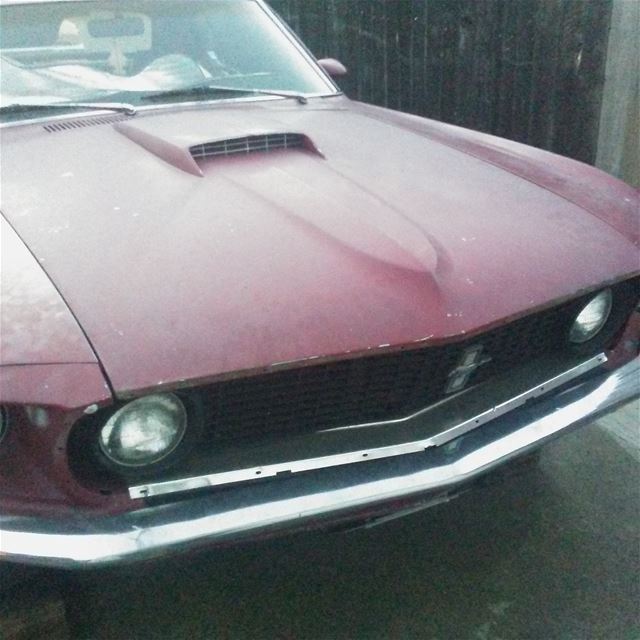 1969 Ford Mustang for sale
