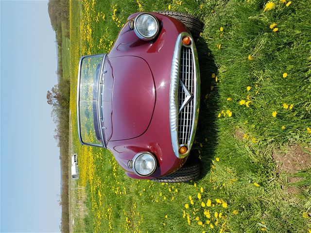 1961 Daimler SP250